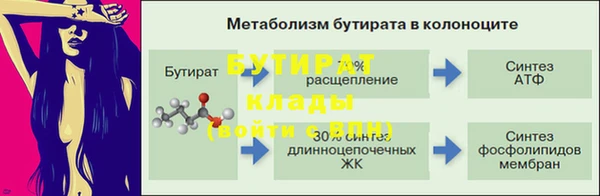 хмурый Белокуриха